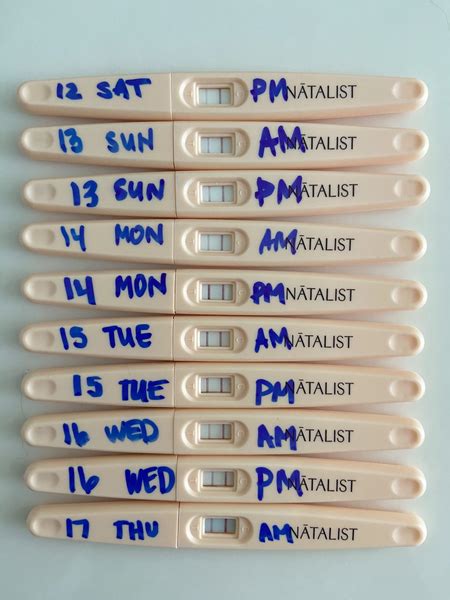 natalist pregnancy test positive|16 very early pregnancy symptoms—before a positive .